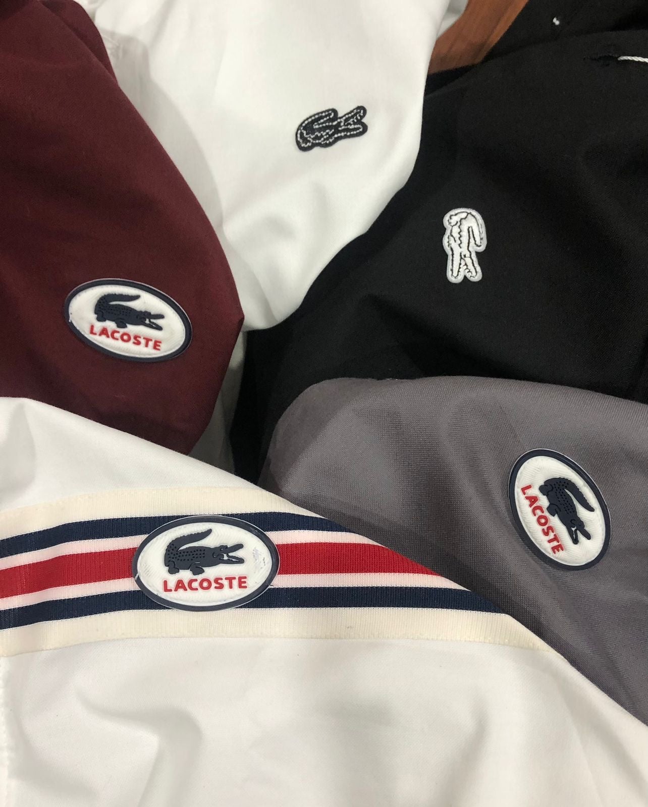 LACOSTE MAHROON SHIRT